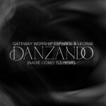 Danzando (Nadie Como Tú) [Remix]