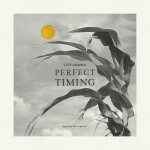 Perfect Timing, album by Lucy Grimble