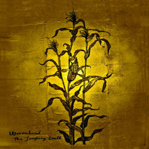 The Laughing Stalk, album by Wovenhand