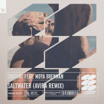 Saltwater (AVIRA Remix), album by Moya Brennan