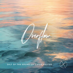 Overflow, альбом Salt Of The Sound, Simon Wester