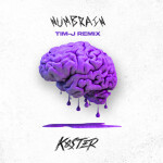 Numbrain (Tim-J Remix), album by Tim-J