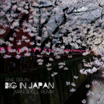 Big in Japan (Ivan Spell Remix), альбом Ane Brun