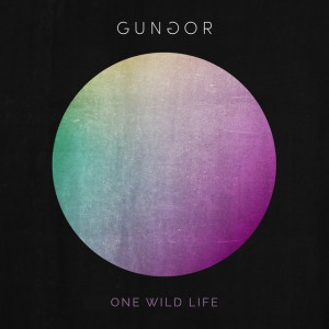One Wild Life, album by Gungor