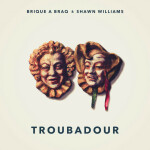 Troubadour, альбом Brique a Braq