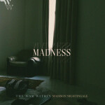 Madness, album by The War Within