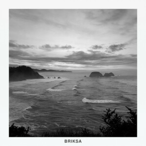 Briksa, album by Сергей Брикса