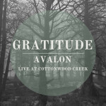 Gratitude (Live)