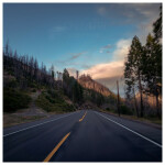 Lonely Road, album by Michael Gungor