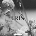 Iris, album by Stillman