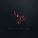 Бегу к тебе, album by ANIVAR