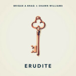 Erudite, album by Brique a Braq