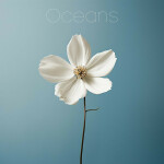 Oceans (Where Feet May Fail), альбом Mass Anthem