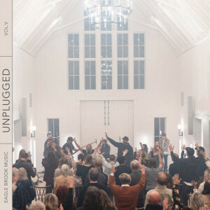 Unplugged, Vol. 5 (Live), album by Eagle Brook Music