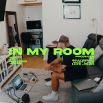 IN MY ROOM, album by Marty
