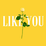 Like You, album by Cody Johns