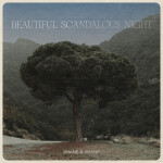 Beautiful Scandalous Night, album by Shane & Shane