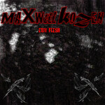 Exit Flesh, album by Maxwell Kozen