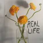 Real Life, album by Remedy Drive