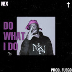 Do What I Do, album by N!x