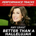 Better Than A Hallelujah (Performance Tracks), album by Amy Grant