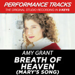 Breath Of Heaven (Mary's Song) [Performance Tracks] - EP, album by Amy Grant