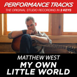 My Own Little World, альбом Matthew West