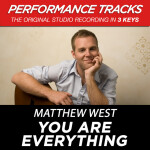 You Are Everything (Performance Tracks) - EP, альбом Matthew West