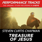 Treasure Of Jesus (Performance Tracks), альбом Steven Curtis Chapman