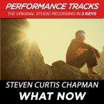 What Now (Performance Tracks), album by Steven Curtis Chapman