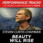 Beauty Will Rise (Performance Tracks), album by Steven Curtis Chapman