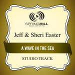 A Wave In The Sea, альбом Jeff & Sheri Easter