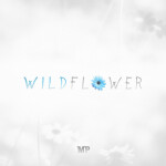 Wildflower, album by Matthew Parker