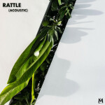 Rattle! (Acoustic), album by Mass Anthem