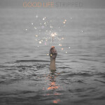 Good Life (Stripped), album by Mass Anthem