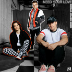 Need Your Love (Michael Schawel Remix), album by Mass Anthem