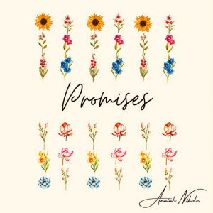 Promises