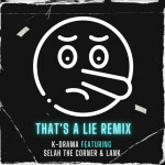 That's a Lie (Remix)