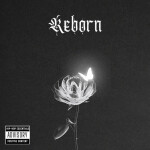 Reborn, album by N!x