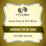 Working For My Good, album by Karen Peck & New River