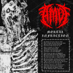 Mortal Infraction, album by Abated Mass Of Flesh