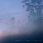 Fleeting Moments, Lasting Memories, album by Antarctic Wastelands