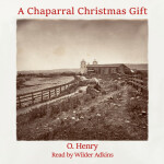 A Chaparral Christmas Gift, альбом Wilder Adkins