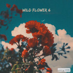 Wild Flower 6, альбом Q-Flo