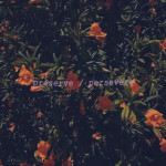Preserve / Persevere, album by Zambroa