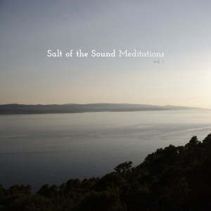 Meditations, Vol. 1, album by Salt Of The Sound