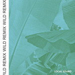 Wild (Remix), album by Local Sound