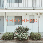 Shepherd, album by Local Sound