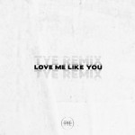 Love Me Like You (TYE Remix)