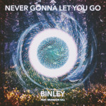 Never Gonna Let You Go (feat. Brandon Gill), album by Binley